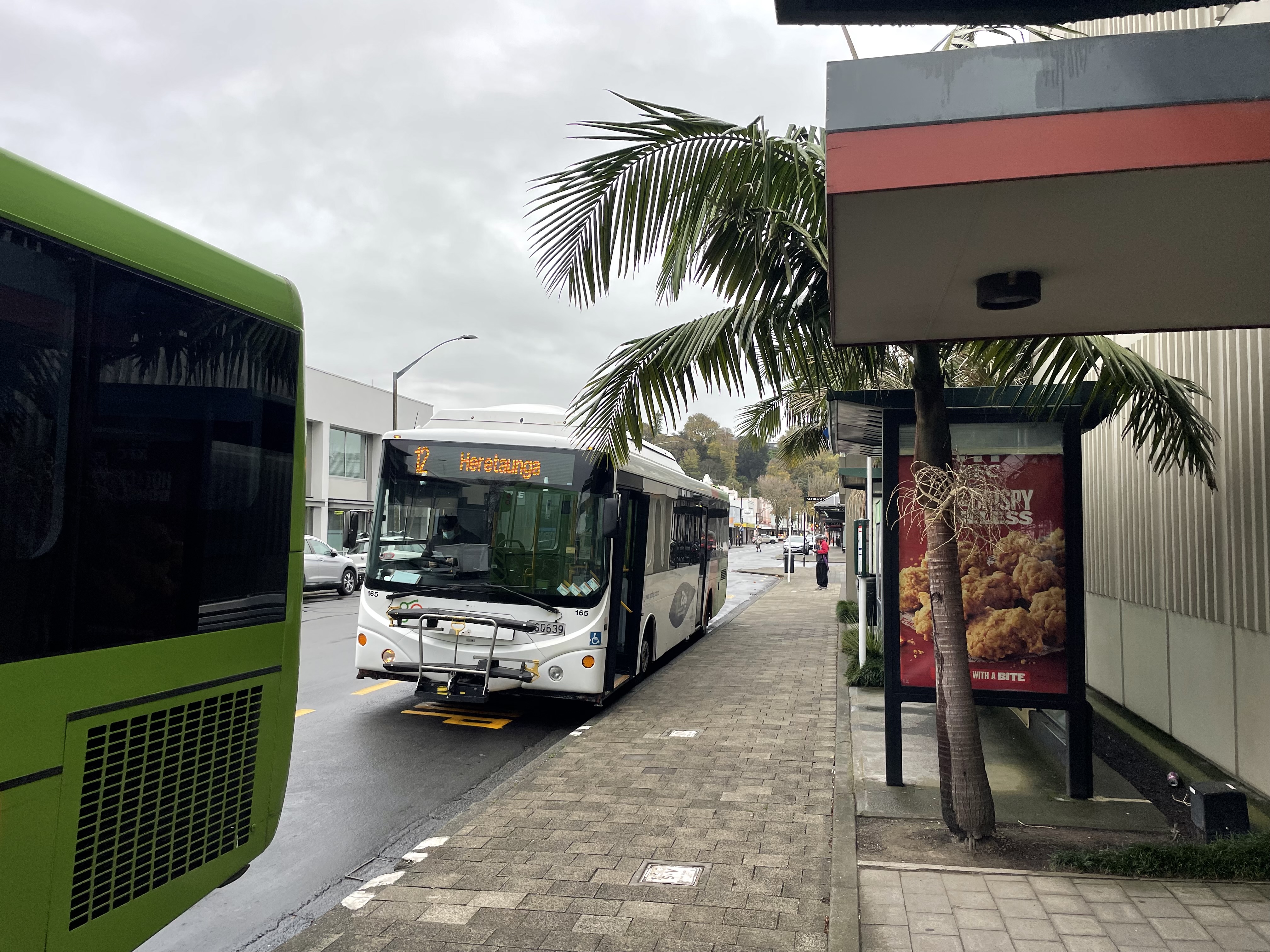 Hawke’s Bay Public Transport Network Review